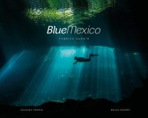 Blue Mexico book cover image